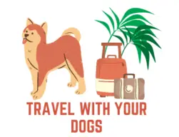Travel With Your Dogs